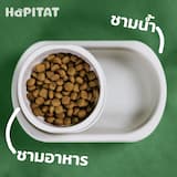 ภาพย่อ 8