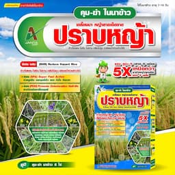 ภาพย่อ 1