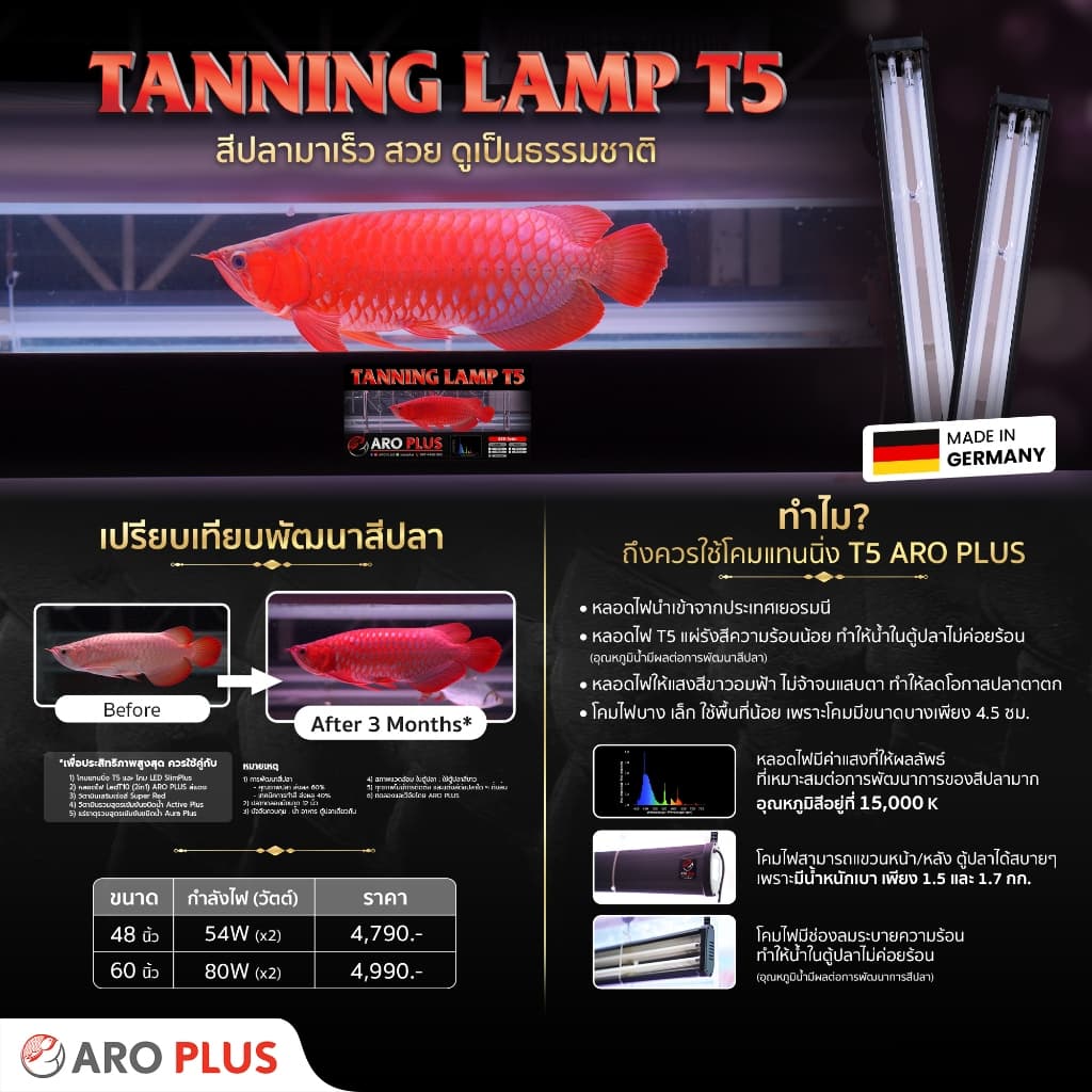 โคมไฟแทนนิ่ง รุ่น T5 - รูปที่ 1