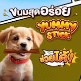 ภาพย่อ 7