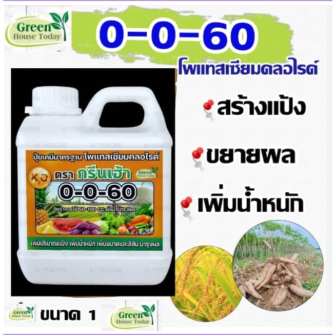 ปุ๋ยน้ำ 0-0-60/46-0-0    1ลิตร  เพิ่มปริมาณแป้ง เพิ่มความหวาน เพิ่มขนาด และสีสัน เพิ่มแป้ง เร่งหัว - รูปที่ 1