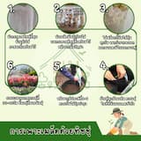 ภาพย่อ 5