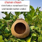 ภาพย่อ 8