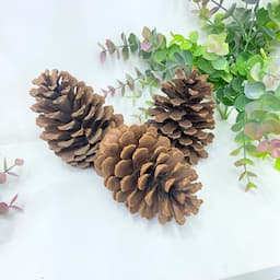 ภาพย่อ 4