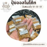 ภาพย่อ 1