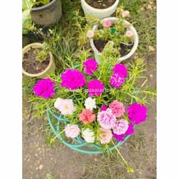 ภาพย่อ 4