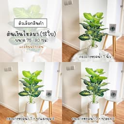 ภาพย่อ 6
