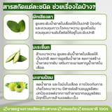 ภาพย่อ 9