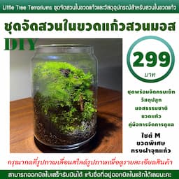ภาพย่อ 8