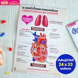 ภาพย่อ 9