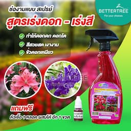 ภาพย่อ 2