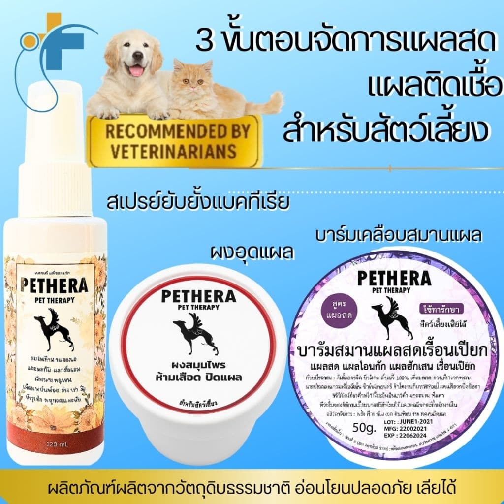 Must Have ต้องมีติดบ้าน!! ชุดจัดการแผลสดครบเซ็ต สเปรย์ยับยั้งแบคทีเรีย+ผงอุดแผล+บาร์มสมานแผล สำหรับสุนัขและแมว - รูปที่ 1