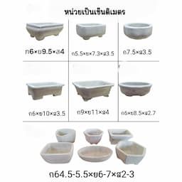 ภาพย่อ 2