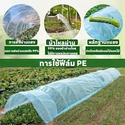 ภาพย่อ 6