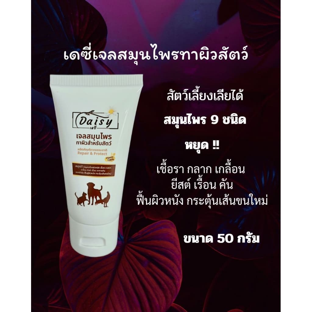 เดซี่เจลสมุนไพรทาผิวหนังสัตว์ - รูปที่ 1