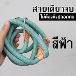 ภาพย่อ 2