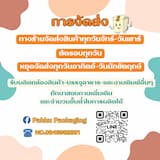 ภาพย่อ 8