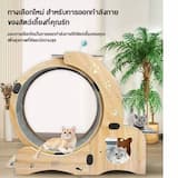 ภาพย่อ 4