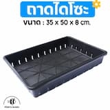 ภาพย่อ 5