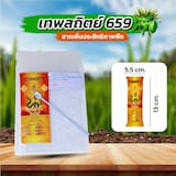 ภาพย่อ 8