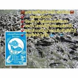 ภาพย่อ 4