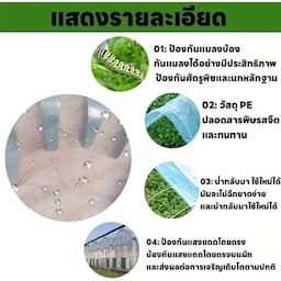 ภาพย่อ 5