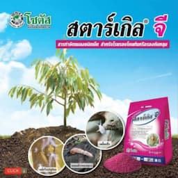 ภาพย่อ 7