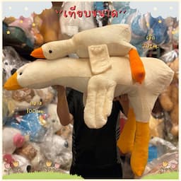 ภาพย่อ 3