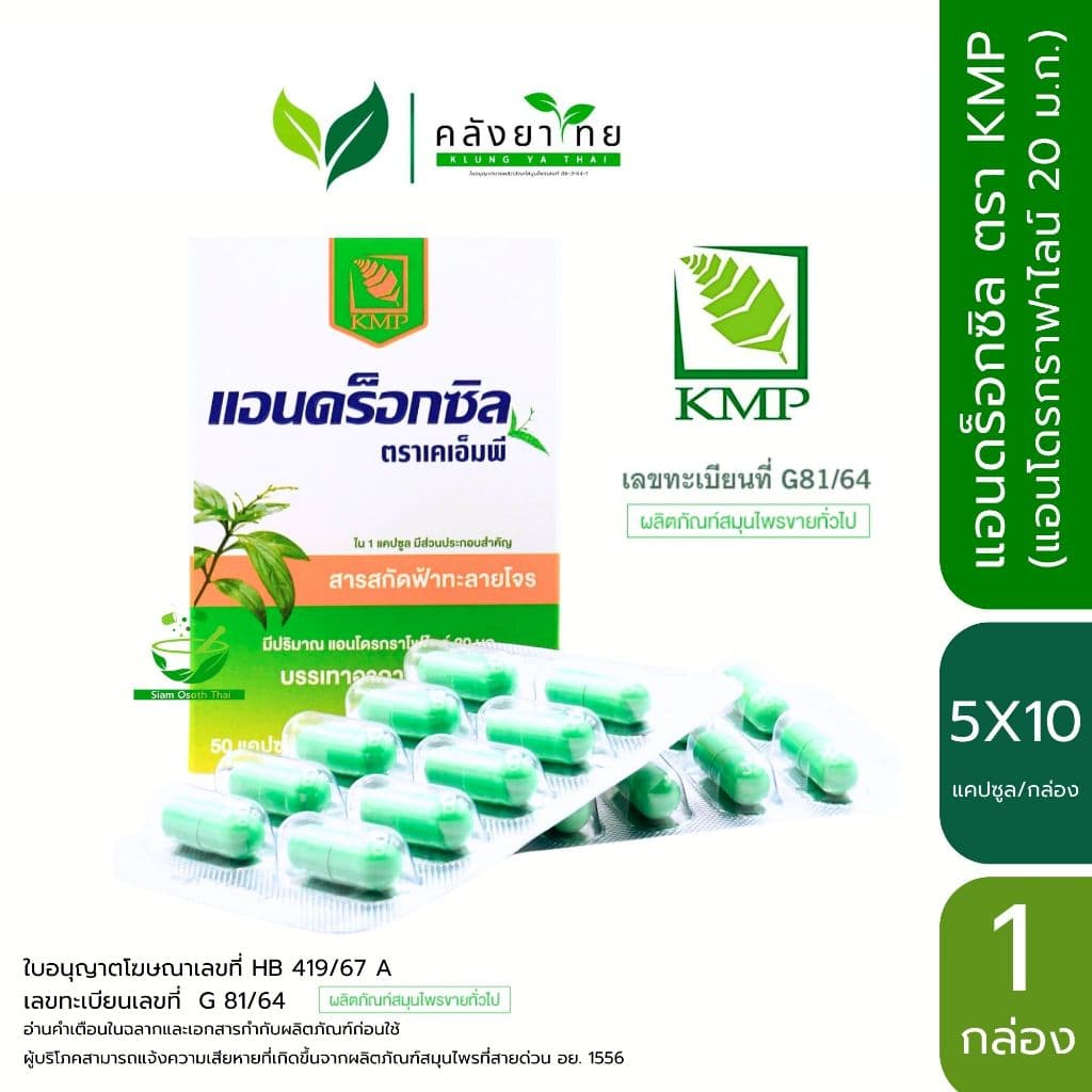 [แพ็คเกจใหม่] แอนดร็อกซิล Androxil แอนดร็อกซิล ตรา KMP ฟ้าทะลายโจรสกัด 20 มก. (1 กล่อง : 50 แคปซูล) - รูปที่ 1