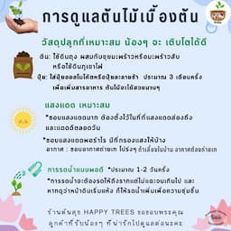 ภาพย่อ 2
