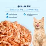 ภาพย่อ 6