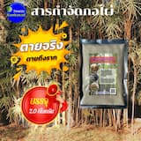 ภาพย่อ 1