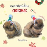ภาพย่อ 1
