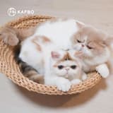 ภาพย่อ 8