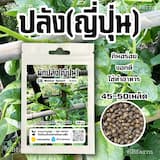 ภาพย่อ 1