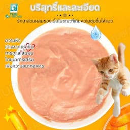 ภาพย่อ 4