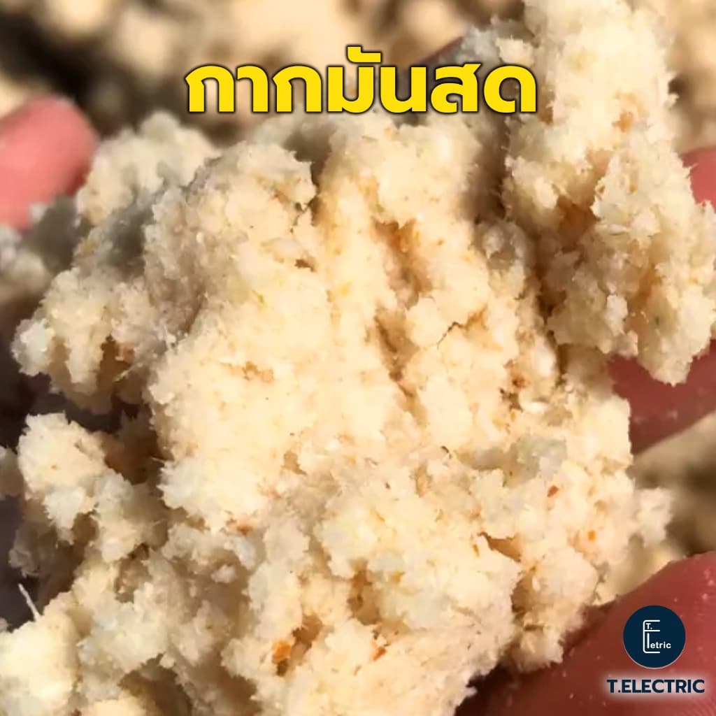 กากมันสำปะหลังสด 900g. โปรตีน 60% อาหารสัตว์ลดต้นทุน  อาหารเลี้ยงวัว,แพะ,ด้วง กากมันสด - รูปที่ 1
