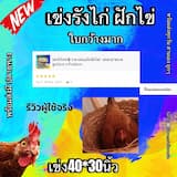 ภาพย่อ 6