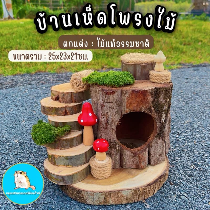 ? บ้านเห็ดโพรงต้นไม้ มีชั้นลอยในตัว/บ้านแฮมสเตอร์ บ้านหนู ของเล่นหนู กรงหนู อะคริลิค กระรอก ชูการ์ ดอร์เม้าส์ แฟตเทล - รูปที่ 1