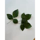 ภาพย่อ 4