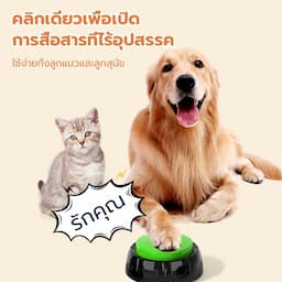 ภาพย่อ 2