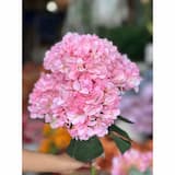 ภาพย่อ 5