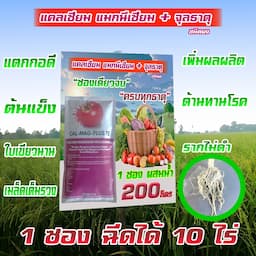 ภาพย่อ 3