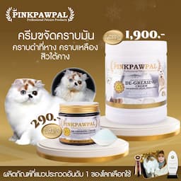 ภาพย่อ 1