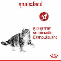 ภาพย่อ 6