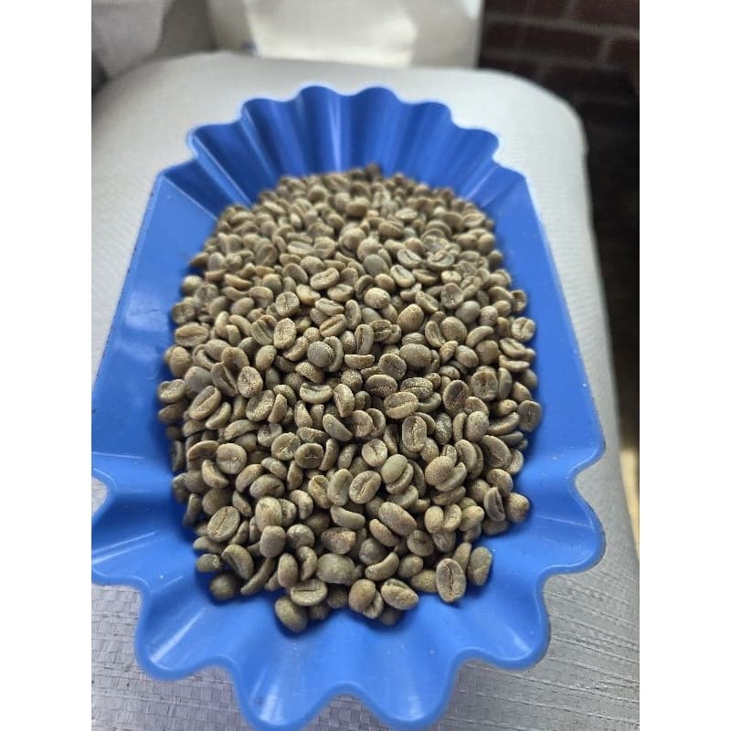 กาแฟสารอาราบีก้าผาฮี้เกรด Aรวม(สารดิบ)  ผ่านการกราวิตี้ ยิงสี เก็บบ่ม1ปีพร้อมคั่ว - รูปที่ 1