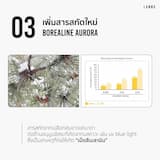 ภาพย่อ 4