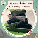 ภาพย่อ 4