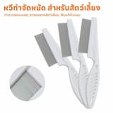 ภาพย่อ 8