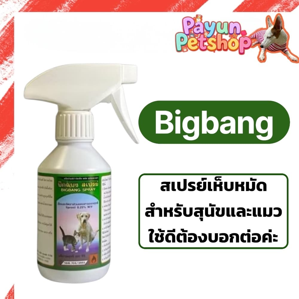Bigbang Spray ( บิกแบง สเปรย์) บิกแบง สเปรย์ เห็บ หมัด สำหรับสุนัขและแมว - รูปที่ 1
